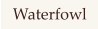 Waterfowl