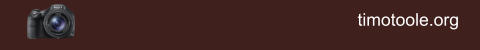 timotoole.org