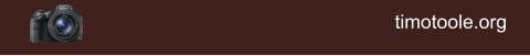 timotoole.org